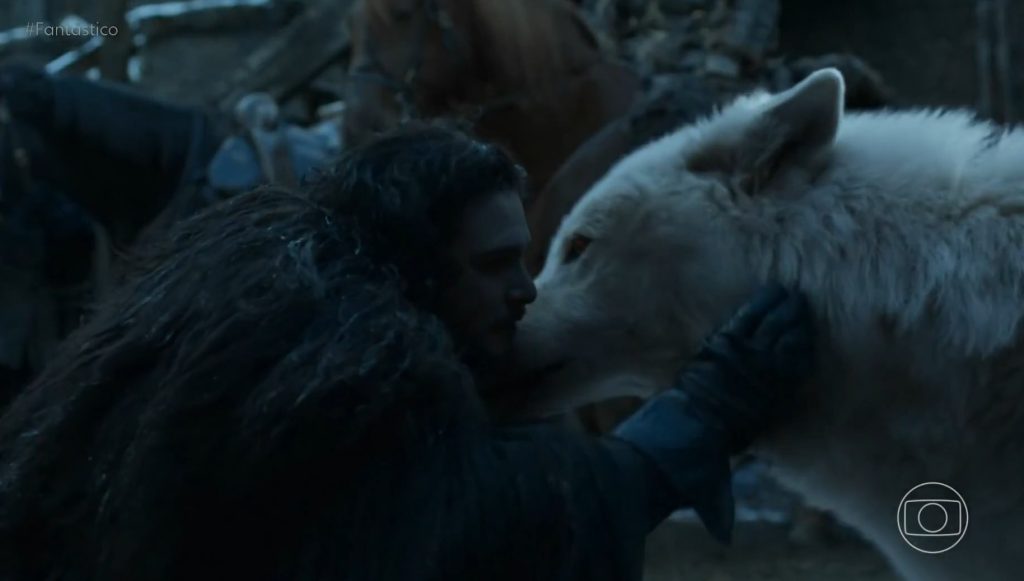 George R. R. Martin e os lobos terríveis: autor de ‘Game of Thrones’ se inspirou em espécie e investe em desextinção
