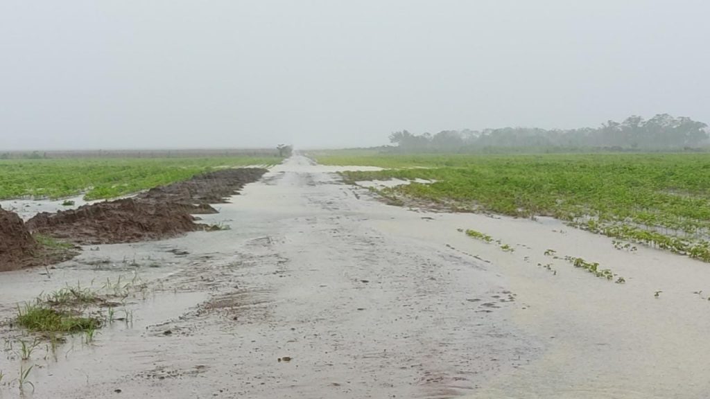Quando o clima muda no campo, o reflexo chega à mesa dos tocantinenses