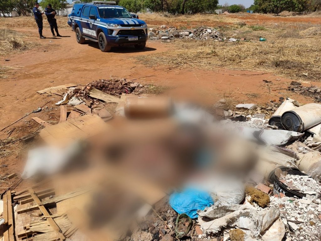 Suspeito de matar e esquartejar homem é preso em Palmas